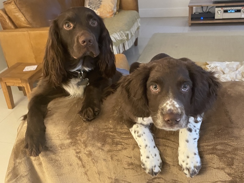 The Bluestocking Women's Pub, where brains can exist in a single state