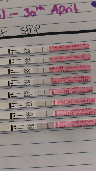 Ttc, ovulation tests