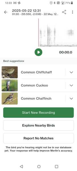 Merlin App Appreciation plus General Birding Chat