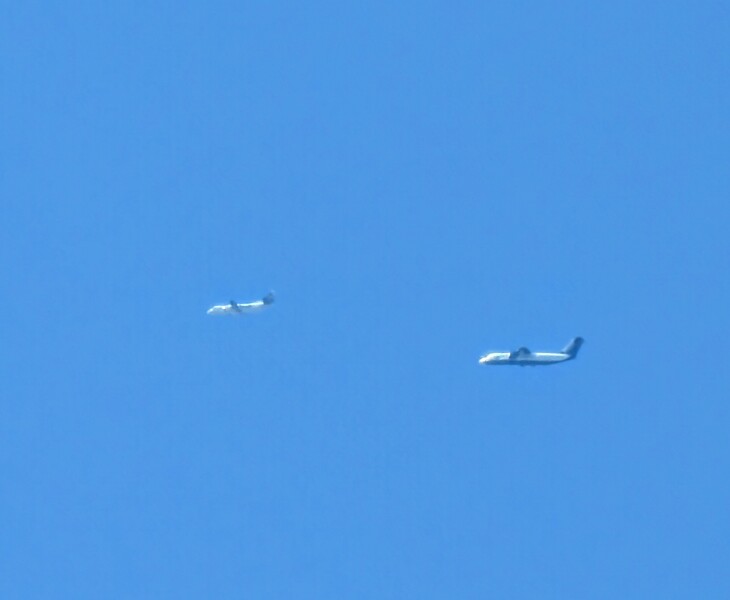 Anyone watching Flightradar tonight…AirForce1 landing?