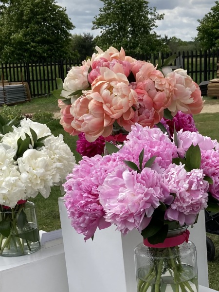 Thread 23 Starmer - Reflux Remedy