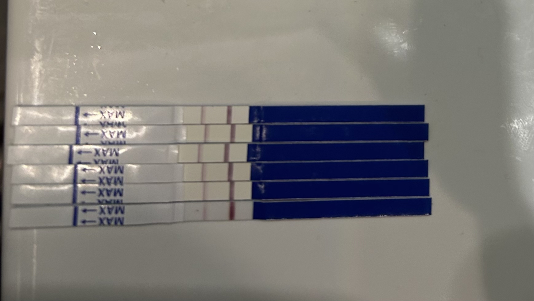 Lines not progressing 5 weeks in