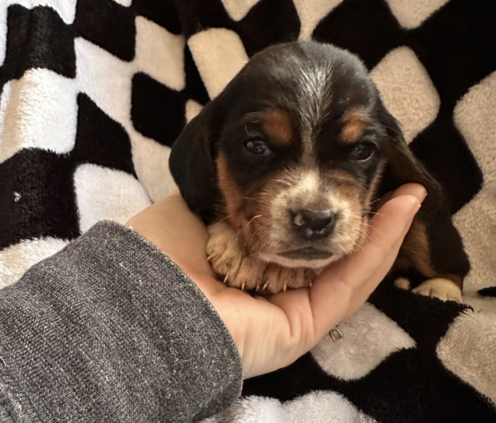 Help me name this little lady?