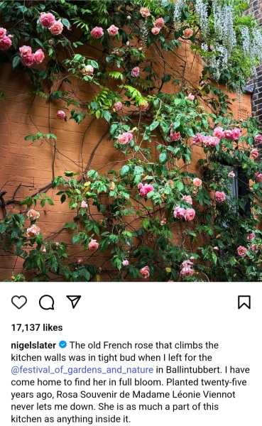 The Year Round Nigel Slater Discussion thread