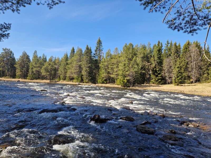 Year round Nigel Slater discussion thread Part 2