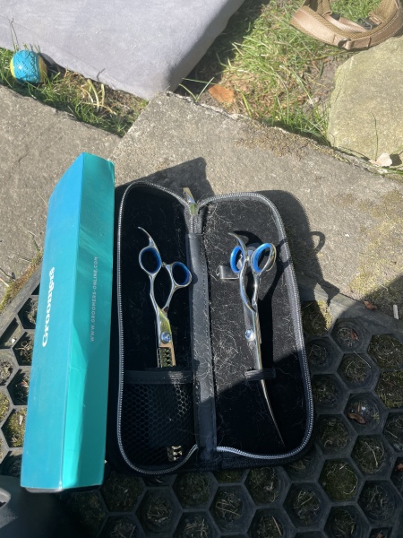 Dog grooming for very anxious dog. Please help.