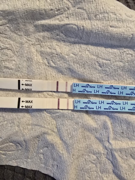 Lh pos after two missed periods