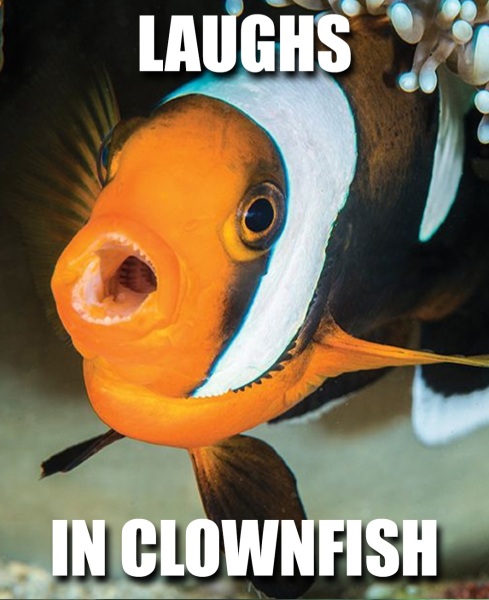 Have I completely misunderstood GCSE biology...