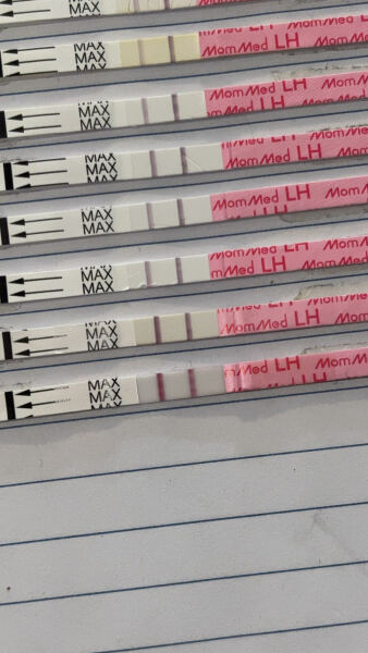 Ttc, ovulation tests