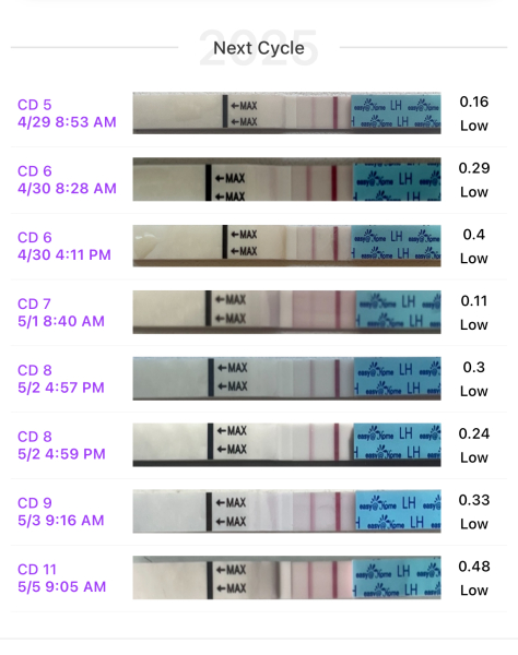 35yrs + and trying ✨🫶🏼