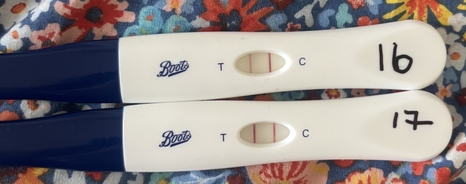 When did you stop testing?!