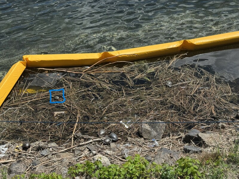 Come and tell us your dull and unexciting news 33: Calmly through the day