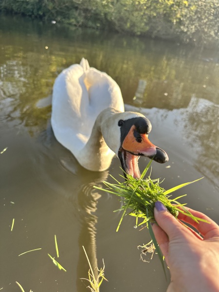 What small things make your day ?