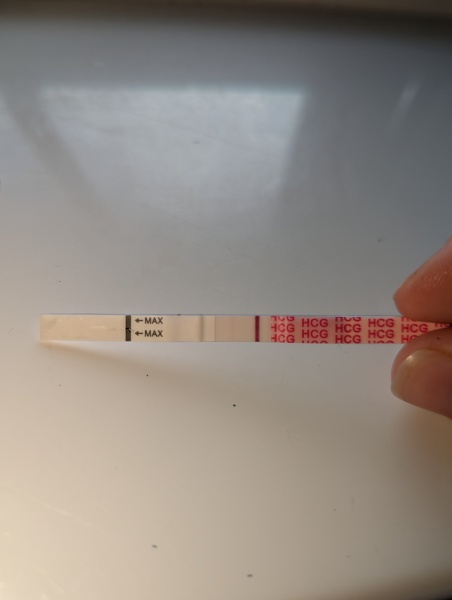 Are these indent lines?