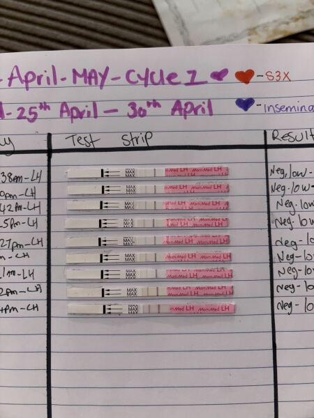 Ttc, ovulation tests