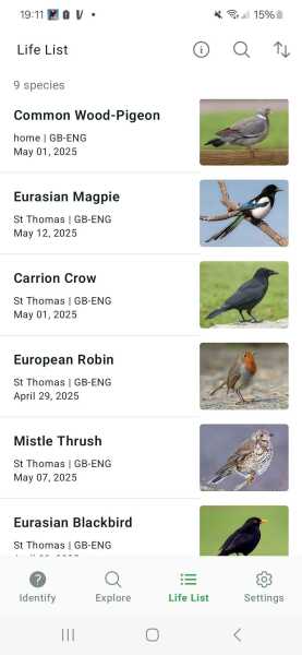 Merlin App Appreciation plus General Birding Chat