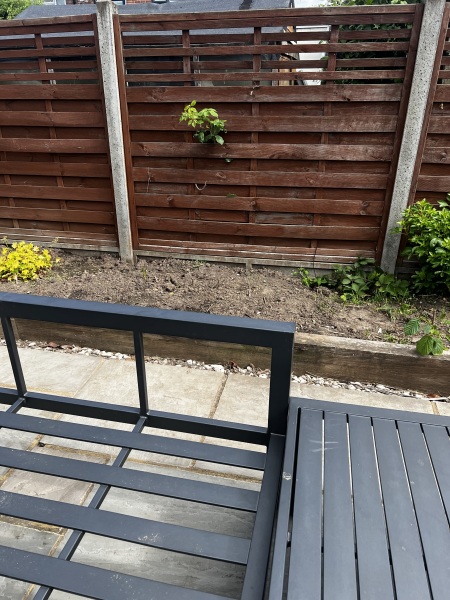 What to plant in this area of my garden