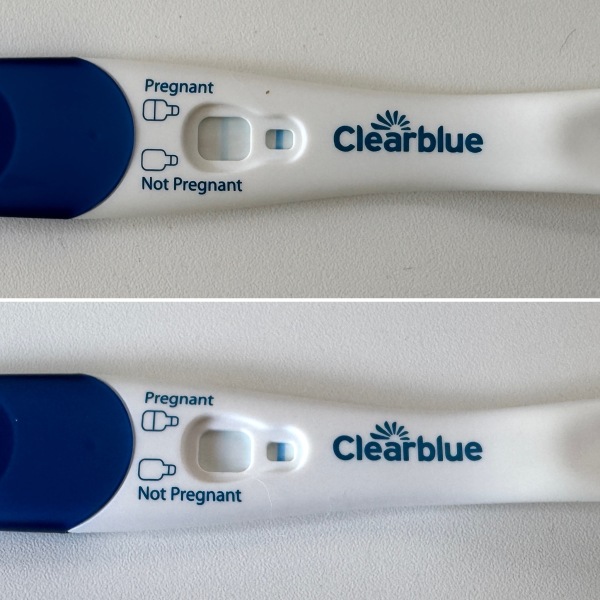 Due February 2026 ✨