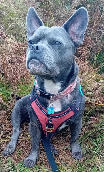 The support thread for anyone trying to live an alcohol free life. Spring 2025.