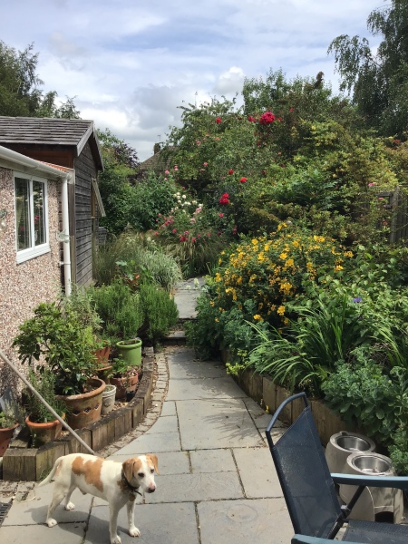 What have you done in the garden today? Part 7