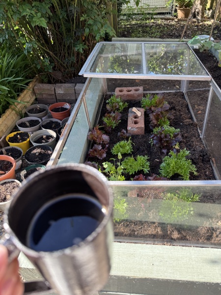 The Year Round Nigel Slater Discussion thread