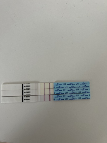Is this opk positive? Or almost ?