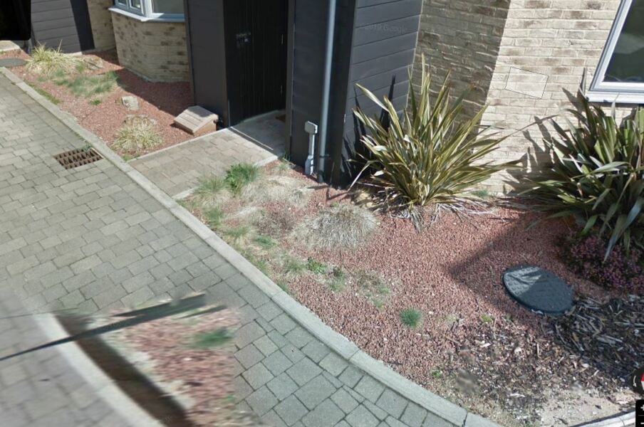 New Planting?