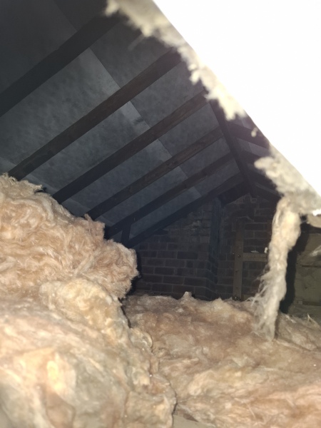 Attic when renting
