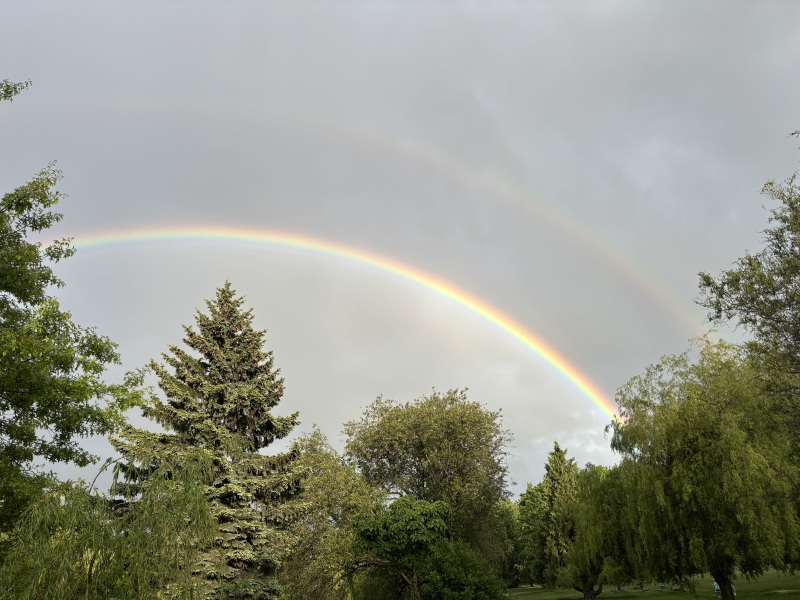 Come and tell us your dull and unexciting news 33: Calmly through the day