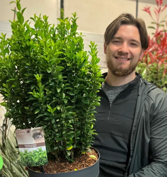 New Planting?