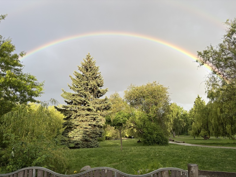 Daily Project round 7