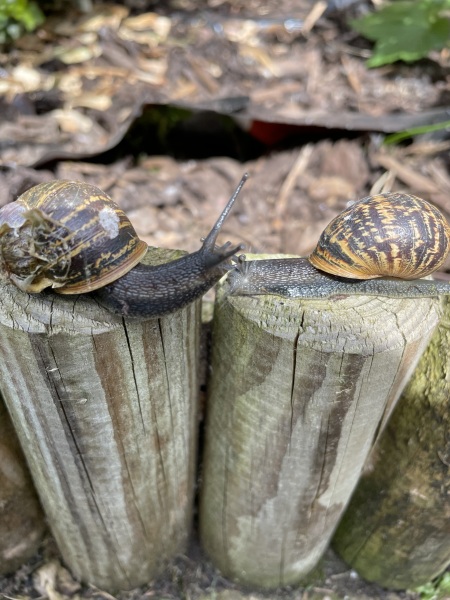 What small things make your day ?