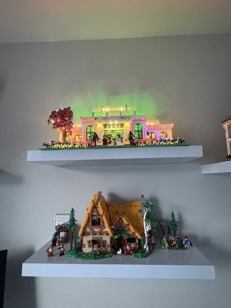 To show me your Lego collection?