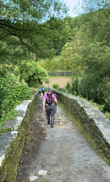 Thread 23 Starmer - Reflux Remedy