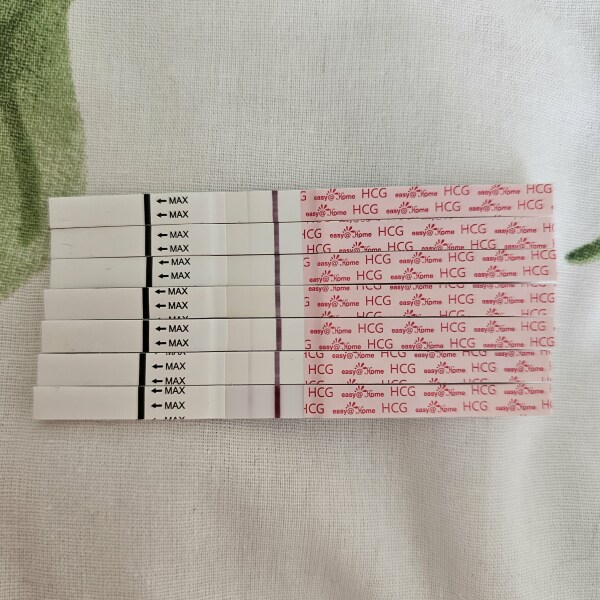 7dp5dt line progression