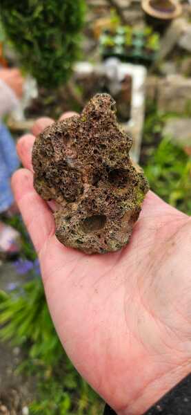 What type of rock is this?