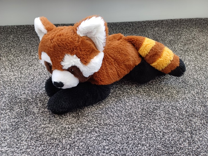 The Bluestocking Women's Pub, where brains can exist in a single state