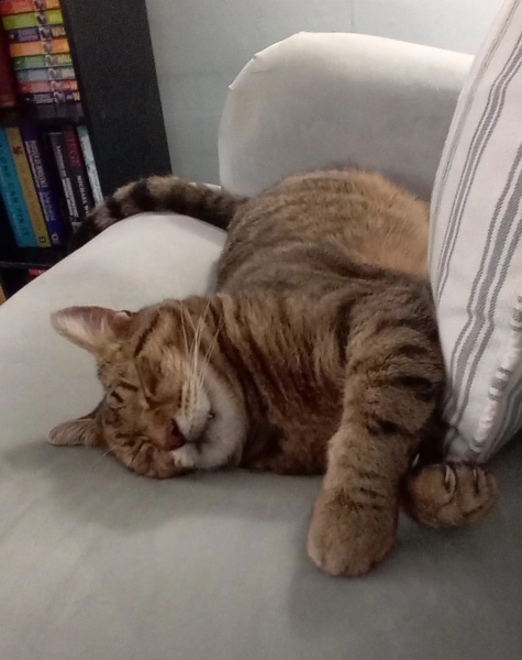 Hymns in Minor Keys & the Russian Easter Overture - the Excellent Cats ignore Culture.....