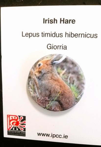 The Bluestocking Women's Pub, where brains can exist in a single state