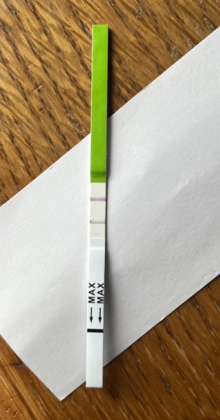 Is this a positive OPK?