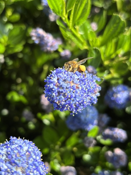 Do we have a Wildlife/Nature/Conservation topic?