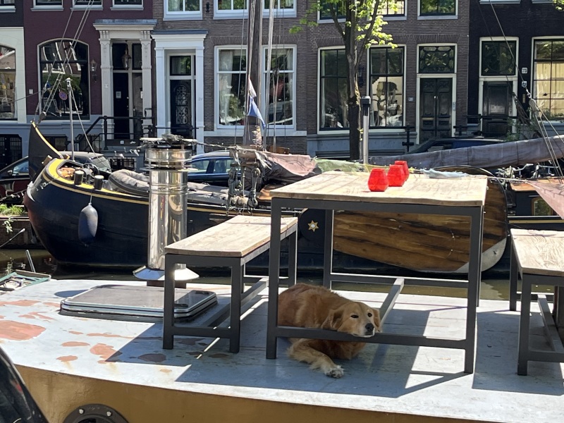 Thread 24 Starmer -Casting the net wider