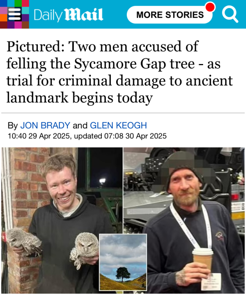 To ask what punishment the guys who cut down sycamore gap tree deserve?