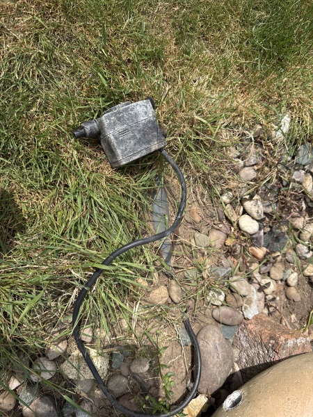 Old water feature - what to do?