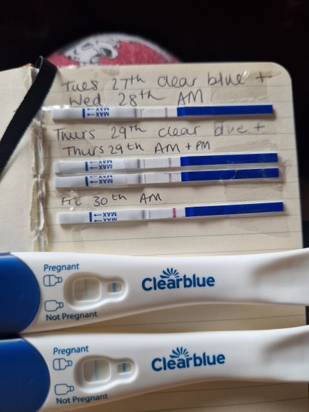 Due February 2026 ✨