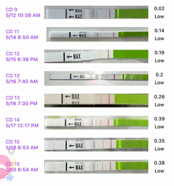 June 2025 TTC Support Thread