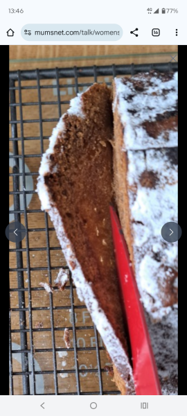 The Bluestocking Women's Pub, where brains can exist in a single state