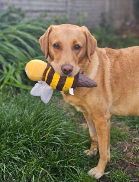 May Starters Thread 2 ~ heading into summer!