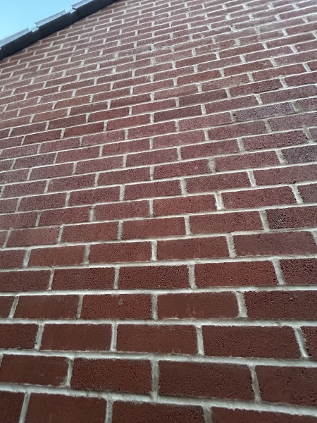 What have you done in the garden today? Part 7