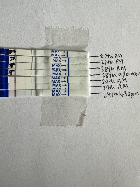 Faint line at 12dpo?
